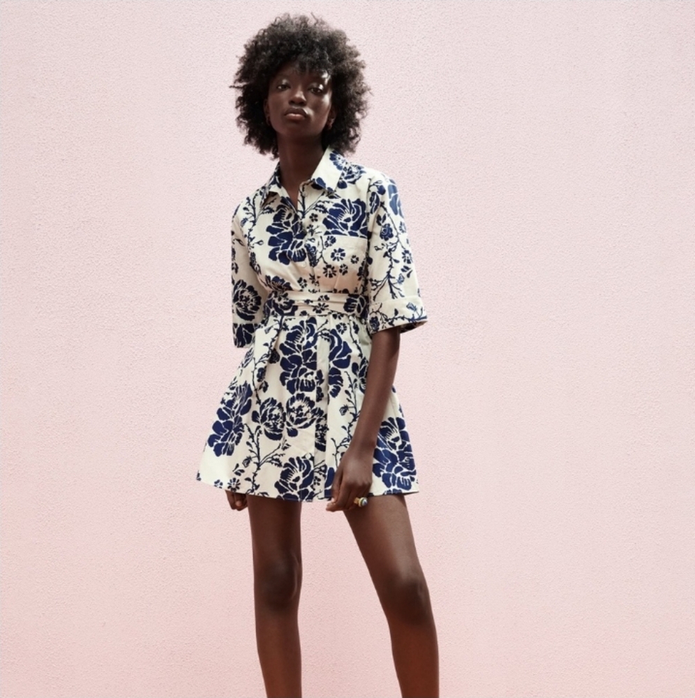 Zara Dress